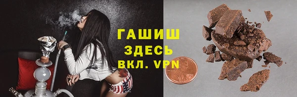 хмурый Новозыбков