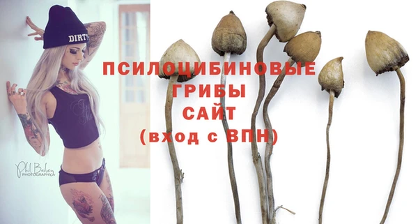 хмурый Новозыбков