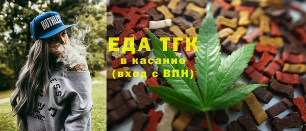 хмурый Новозыбков