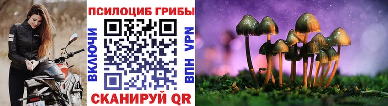 Галлюциногенные грибы GOLDEN TEACHER kraken вход Ржев