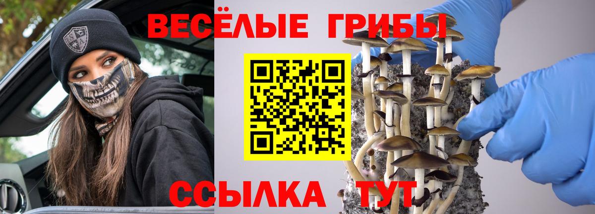 Галлюциногенные грибы прущие грибы  Псилоцибиновые грибы Psilocybe  Вход с VPN  Ржев 