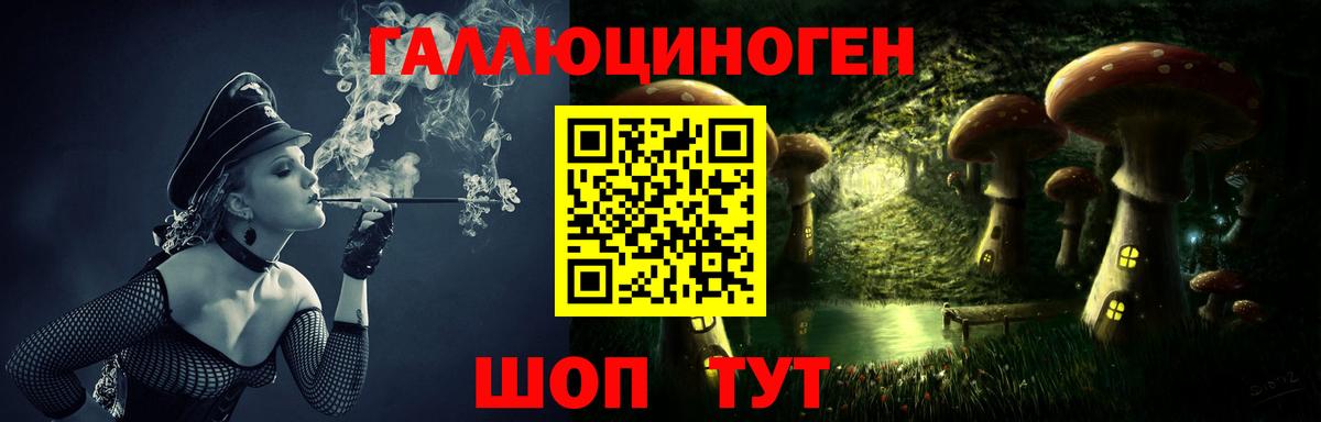 Псилоцибиновые грибы Psilocybe Ржев